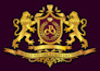 design a flag, logo or emblem